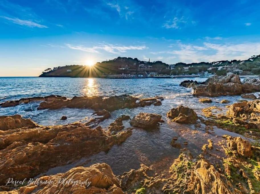 T2: 45M2 :4 Places :Independant Dans Villa Hyeres Exterior photo