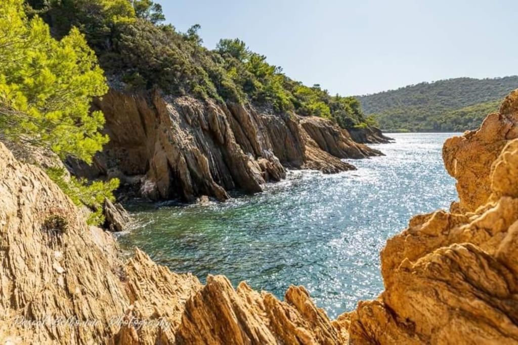 T2: 45M2 :4 Places :Independant Dans Villa Hyeres Exterior photo