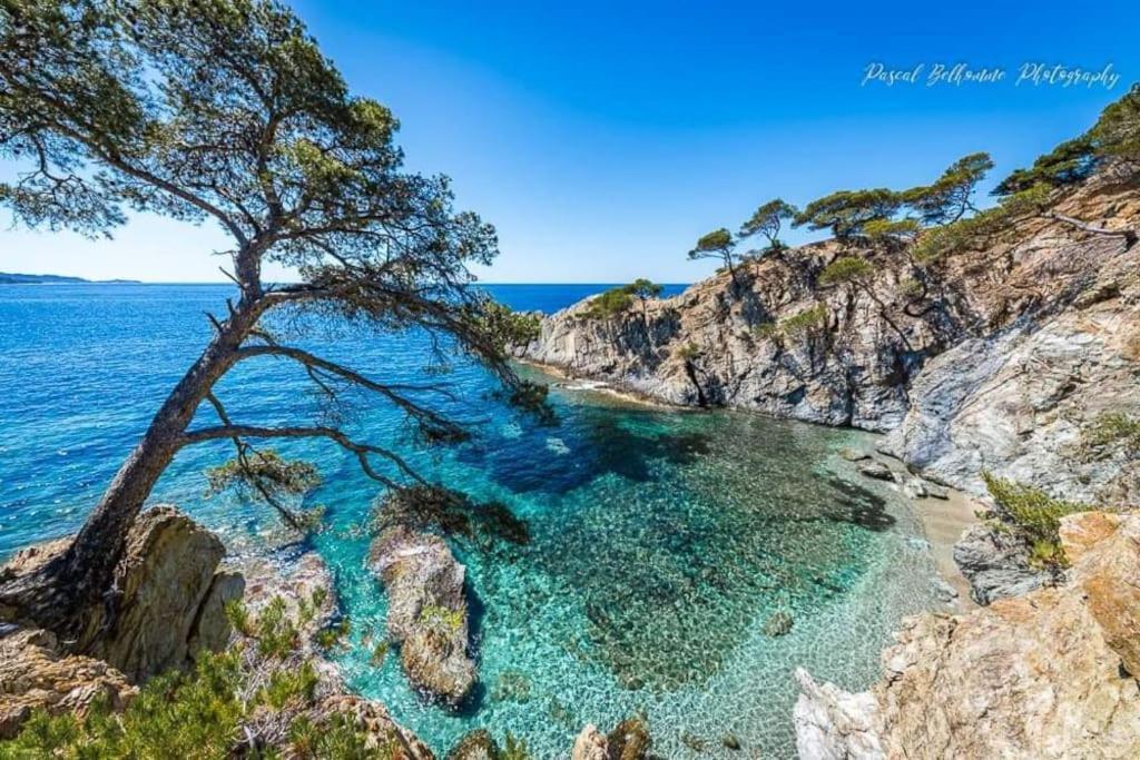 T2: 45M2 :4 Places :Independant Dans Villa Hyeres Exterior photo