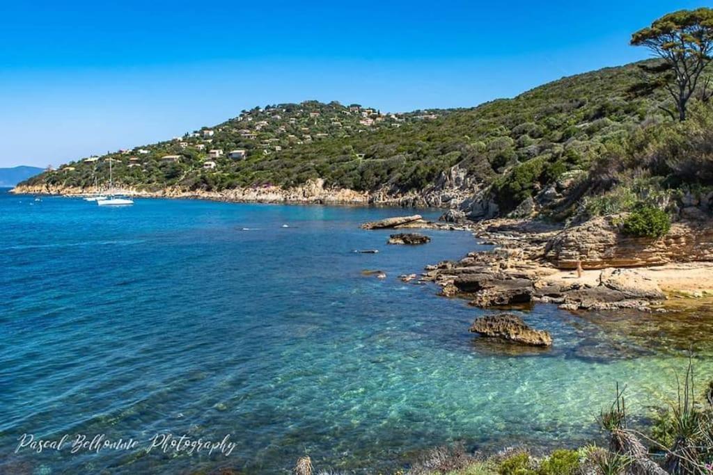 T2: 45M2 :4 Places :Independant Dans Villa Hyeres Exterior photo