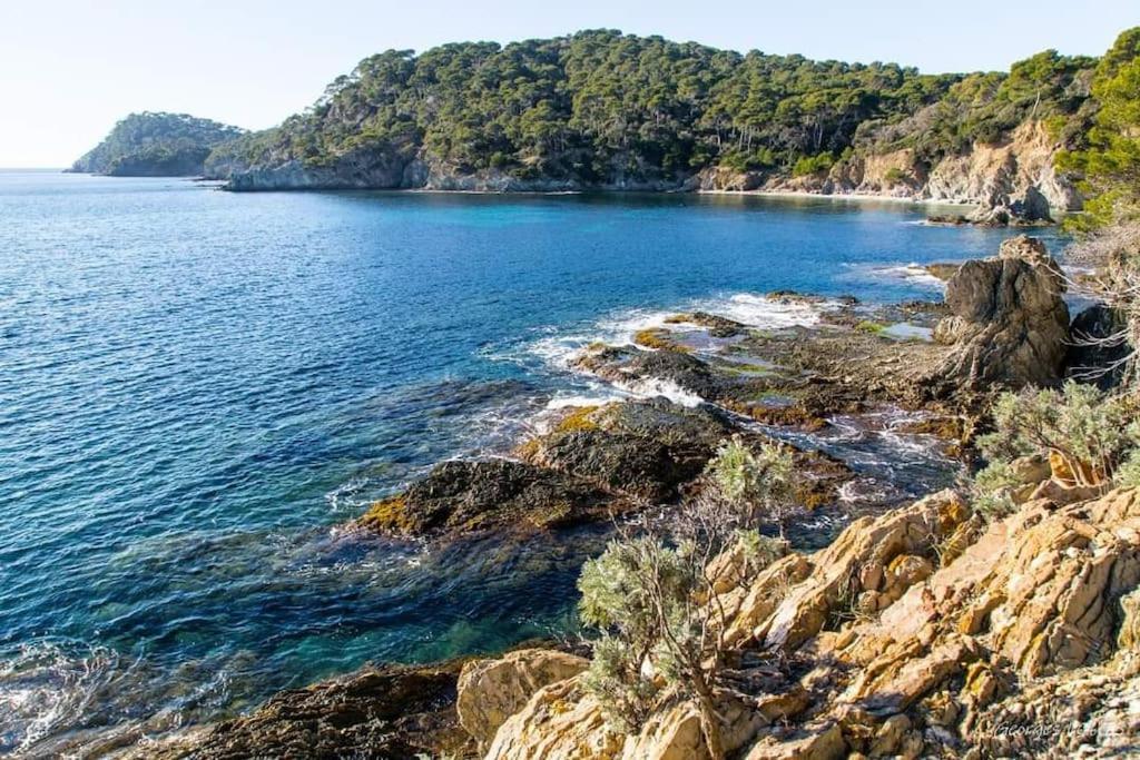 T2: 45M2 :4 Places :Independant Dans Villa Hyeres Exterior photo