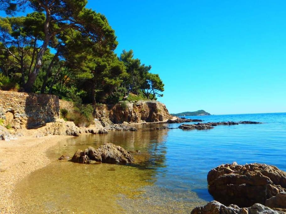 T2: 45M2 :4 Places :Independant Dans Villa Hyeres Exterior photo